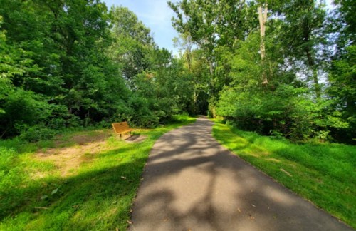 A winding path through a lush green park, with a wooden bench on the side surrounded by trees and foliage.