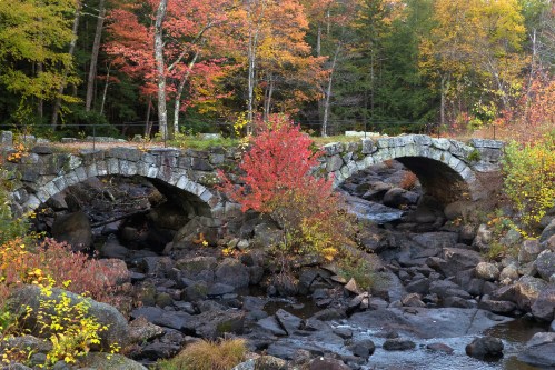 A stone bridge arches over a stream, surrounded by vibrant autumn foliage in a serene forest setting.