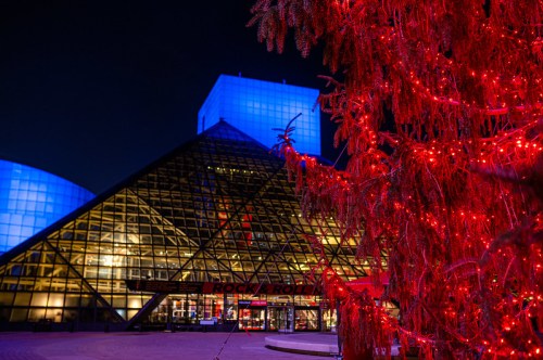 The image shows a modern building illuminated at night, with a brightly lit red tree in the foreground.