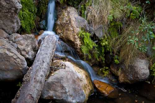 A serene waterfall cascades over rocks, surrounded by lush greenery and moss.