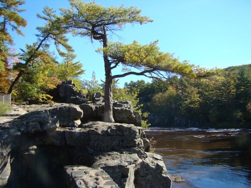 A solitary tree stands on a rocky outcrop beside a calm river, surrounded by autumn foliage and clear blue skies.