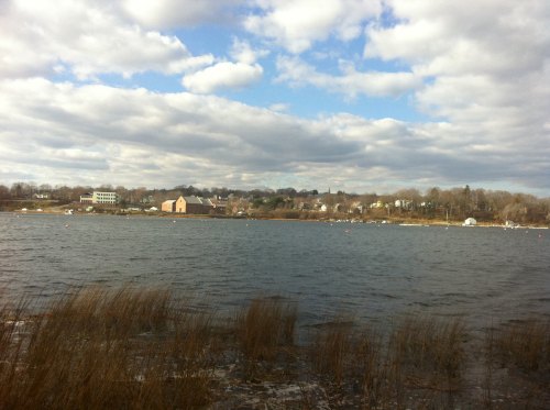 A serene view of a calm water body with a distant shoreline and cloudy sky, featuring boats and grassy foreground.