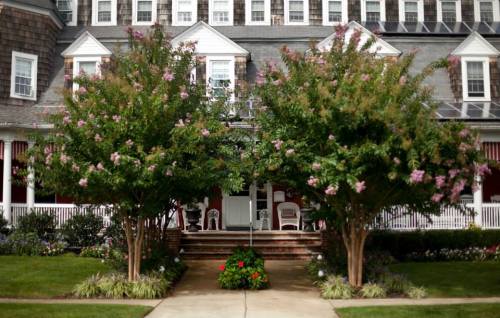 A charming house with a porch, flanked by flowering trees and colorful garden beds, set in a lush green landscape.