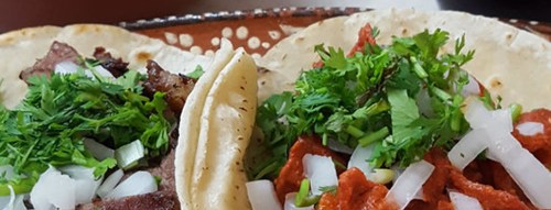 Two tacos on a plate, one with grilled meat and the other with red meat, topped with onions and fresh cilantro.