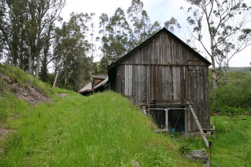 A weathered wooden barn surrounded by tall grass and trees on a hillside.