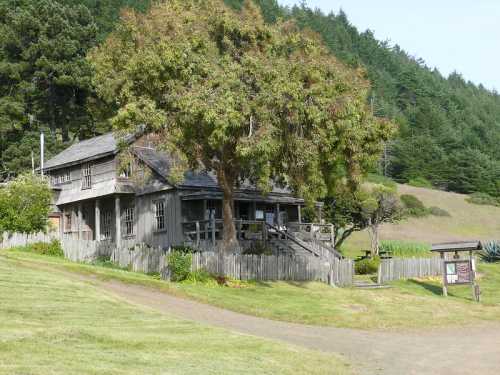 A rustic wooden house surrounded by greenery and trees, with a path leading to it in a serene landscape.