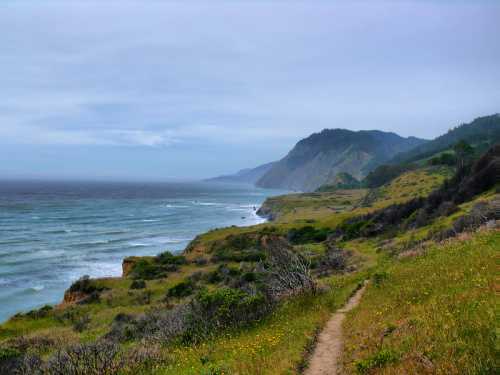 A scenic coastal view with rolling hills, waves crashing on the shore, and a winding path through lush greenery.