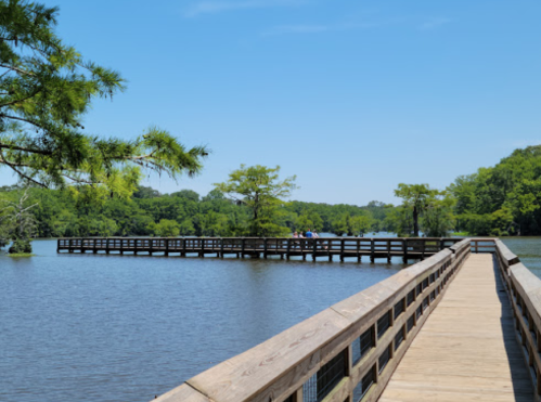 A wooden boardwalk extends over calm water, surrounded by lush greenery and blue skies.