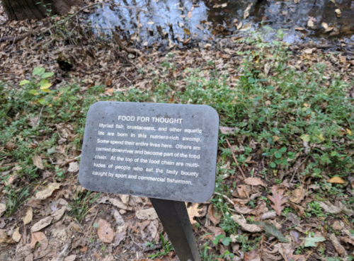 A sign in a wooded area reads "Food for Thought," discussing aquatic life and the food chain in a swamp ecosystem.