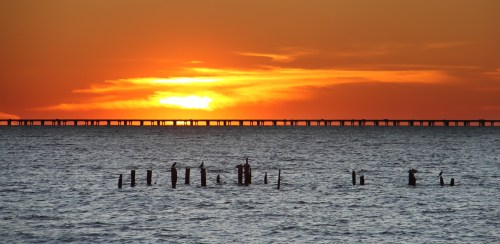 Sunset over water with silhouetted pilings and a distant pier against a vibrant orange and yellow sky.