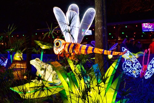 Colorful illuminated insects and frogs among vibrant green foliage at a nighttime outdoor event.