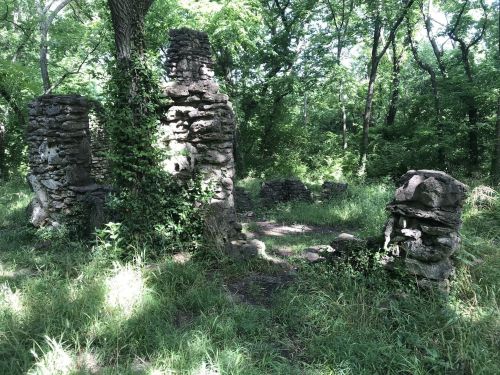 Ruins of stone structures partially covered in greenery, surrounded by trees and tall grass in a forested area.