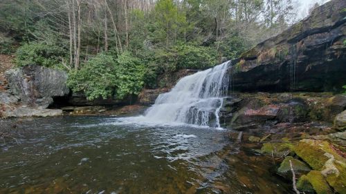 A serene waterfall cascades over rocks into a calm pool, surrounded by lush greenery and trees.