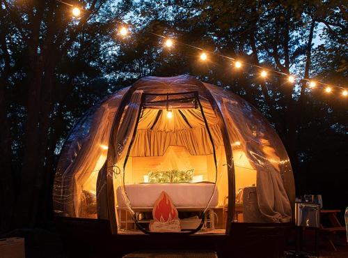 A cozy, illuminated dome tent in a forest, surrounded by string lights, creating a warm, inviting atmosphere at dusk.