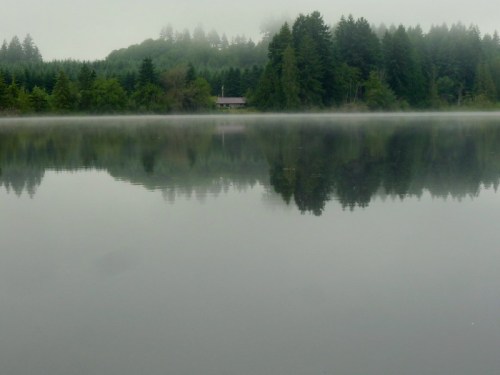 A serene lake surrounded by misty trees, reflecting the calm water and a distant cabin in the background.