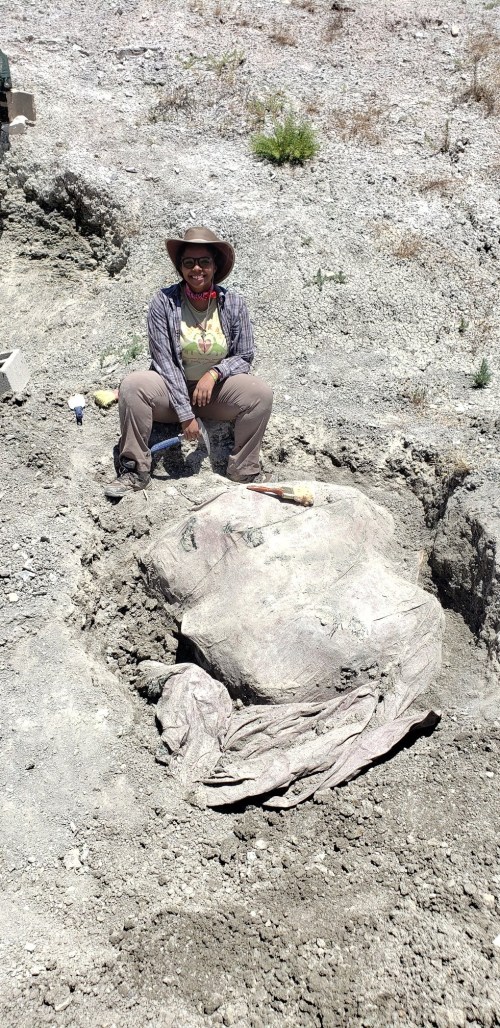 A person sits beside a large, partially uncovered fossil in a dry, rocky excavation site.