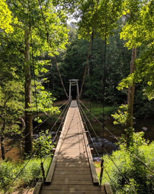 A wooden suspension bridge surrounded by lush green trees, spanning over a calm stream in a serene forest setting.