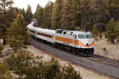 A train with a silver and red engine travels through a forested area, surrounded by tall pine trees.