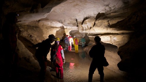 A group of cavers explores a dimly lit cave with water, wearing helmets and headlamps.
