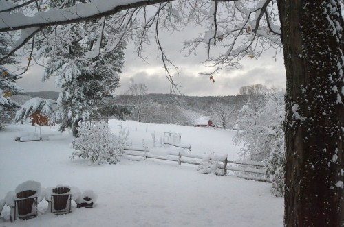 A snowy landscape with trees, a wooden fence, and a distant red barn under a cloudy sky.