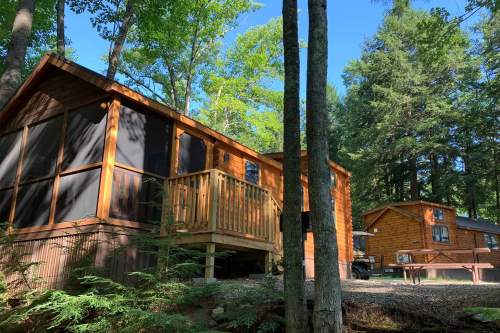 Two wooden cabins nestled among tall trees, with a clear blue sky above and a picnic table nearby.