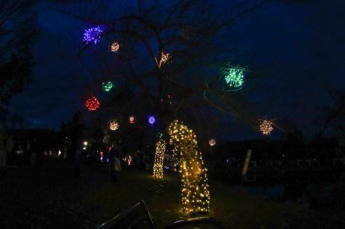 A tree adorned with colorful lights and ornaments, glowing against a dark evening sky.