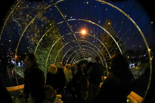 A festive light tunnel with people walking through, surrounded by trees and a night sky.