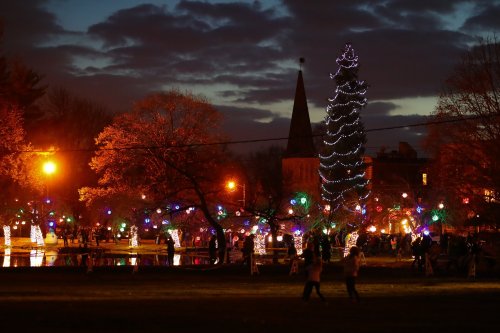 A festive park at night, illuminated with colorful lights and a tall Christmas tree, with people enjoying the scene.