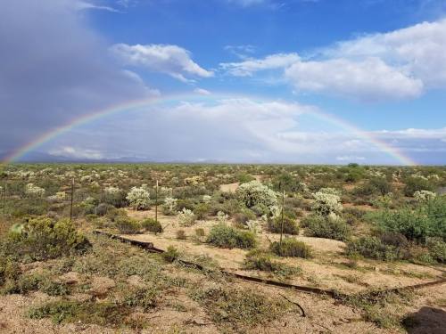 A vibrant rainbow arcs over a desert landscape dotted with shrubs and under a partly cloudy sky.