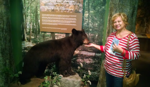 A woman in a striped shirt interacts with a bear exhibit in a forest-themed display.