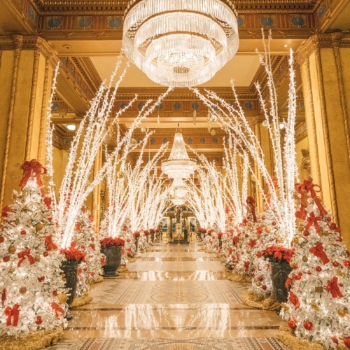 A beautifully decorated hallway with sparkling lights, Christmas trees, and elegant chandeliers, creating a festive atmosphere.