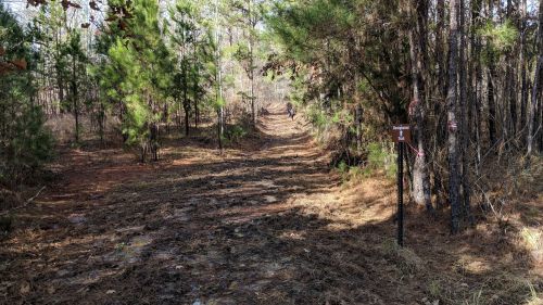 A muddy trail surrounded by trees, with a signpost on the right indicating the path.