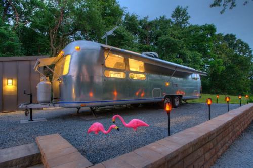 A shiny silver Airstream trailer parked beside pink flamingo lawn ornaments and glowing lanterns in a wooded area.
