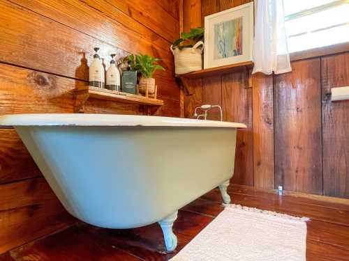 A vintage-style bathtub in a wooden bathroom, with plants and toiletries on a shelf nearby. Natural light filters in.