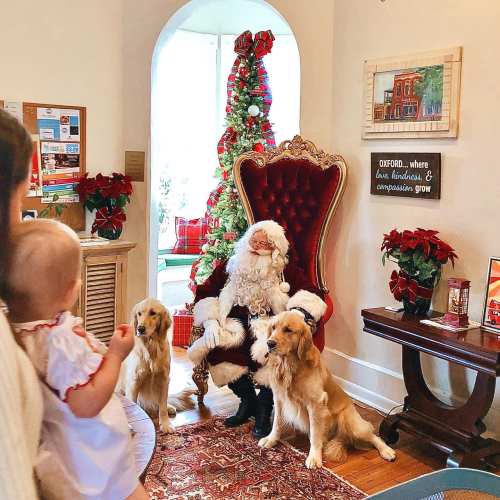 Santa sits in a grand chair with two golden retrievers, while a baby looks on in a festive, decorated room.