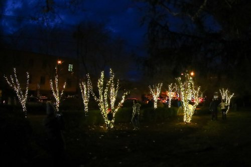 A park illuminated with twinkling white lights on trees, set against a dark evening sky.