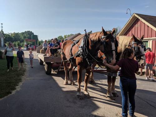 A horse-drawn wagon with people rides down a path, while others walk alongside in a sunny outdoor setting.