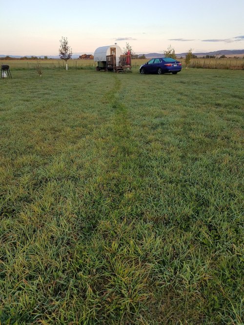 A grassy field with a car parked nearby and a trailer in the distance under a clear sky.