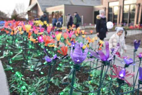 Colorful illuminated flowers in a garden with people walking in the background during a festive event.