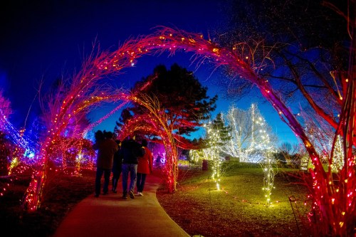 A group walks through a colorful, illuminated pathway adorned with festive lights and trees at night.