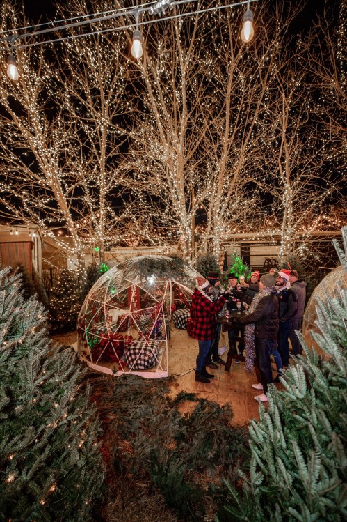 A festive outdoor scene with people in winter attire, surrounded by twinkling lights and decorated trees.