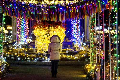 A person stands in a brightly lit pathway adorned with colorful holiday lights and decorations.