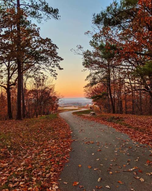 A winding path through autumn trees, with fallen leaves and a sunset in the background.