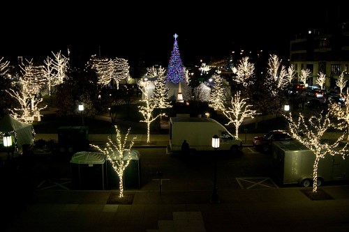 A festive park at night, illuminated with Christmas lights and a colorful tree in the center.