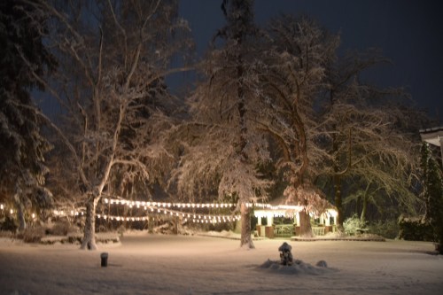 A snowy landscape at night, featuring illuminated trees and string lights, creating a cozy winter atmosphere.