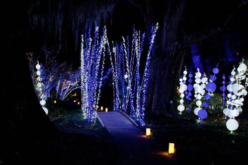 A serene pathway illuminated by blue and white lights, surrounded by glowing trees and decorative orbs at night.