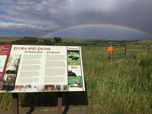 A sign about flora and fauna stands in a grassy field, with a rainbow arching over the landscape in the background.