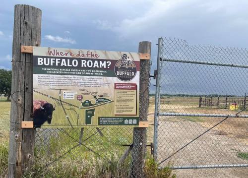 Sign at a buffalo reserve entrance, asking "Where do the Buffalo Roam?" with a map and information about the area.