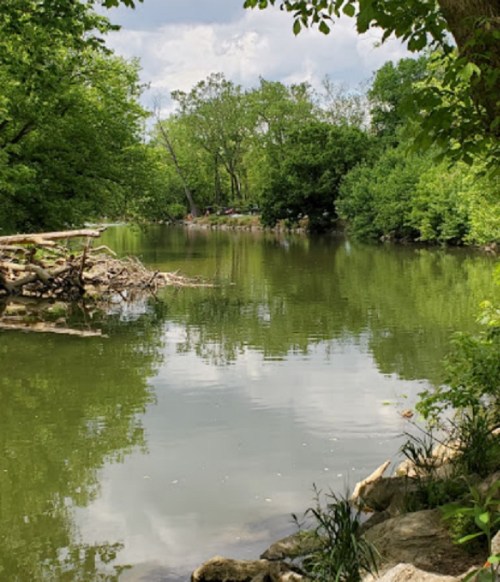 A serene river scene surrounded by lush greenery and trees under a partly cloudy sky.