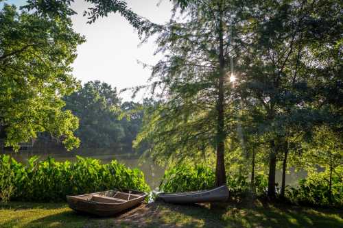 Two boats sit by a serene riverbank, surrounded by lush greenery and sunlight filtering through the trees.